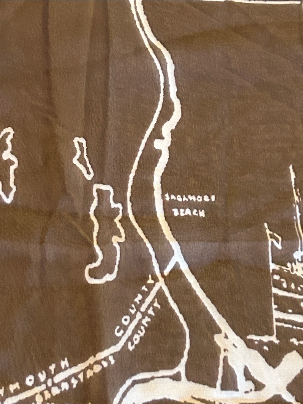 Cape Cod Map Scarf  - Blue - Picture 6 of 12
